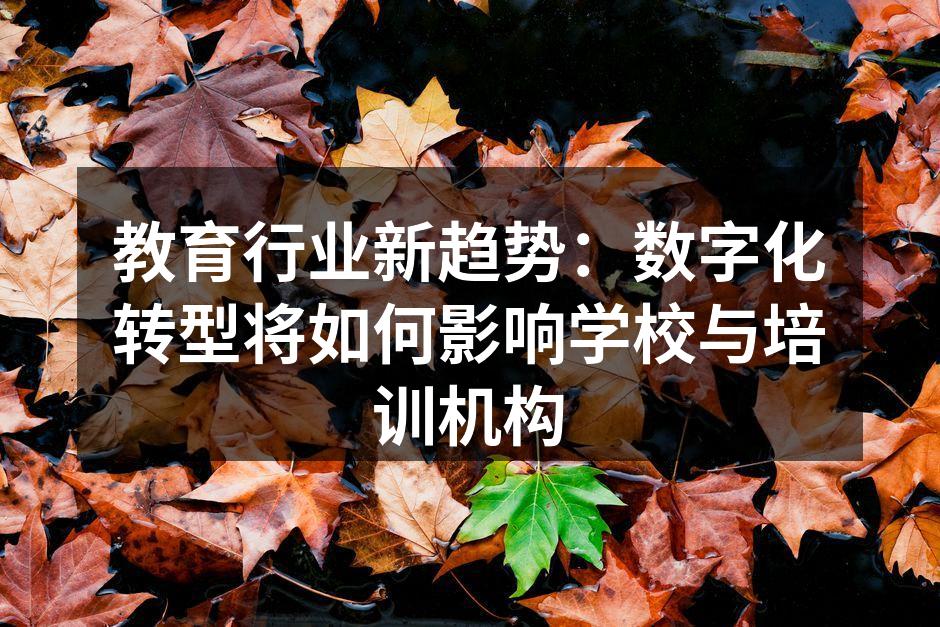 教育行业新趋势：数字化转型将如何影响学校与培训机构
